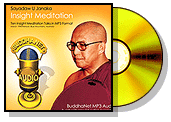 Sayadaw U Janaka - 10 Insight Meditation Talks