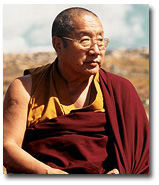 Kyabjé Drubwang Pema Norbu Rinpoche